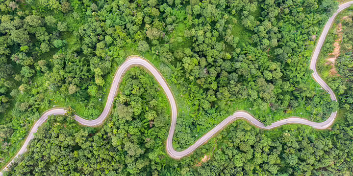 overhead view of a river winding through trees