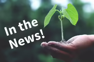 child holding sprout, link to news article