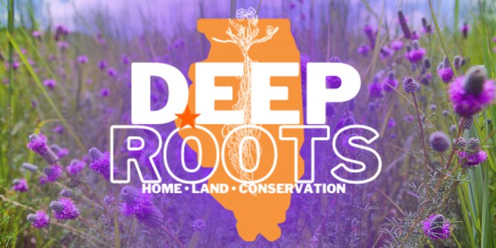 Deep roots text over field of purple clover