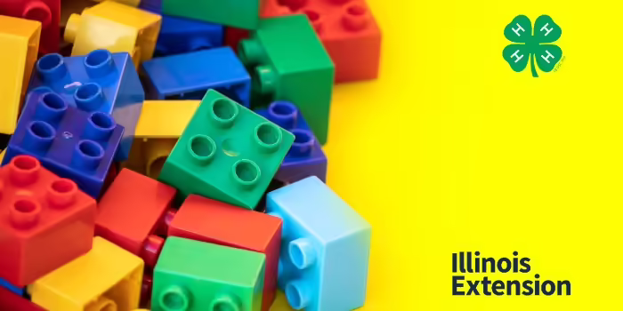 A bunch of multi colored building bricks 