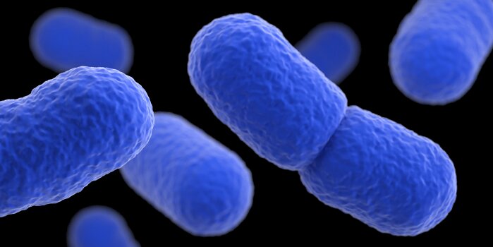 Artistic recreation of Listeria monocytogenes bacteria. CDC ID21917
