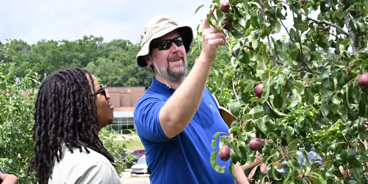 Dr John Fisher showing something on a tree