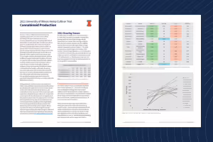 pages of program report on blue background