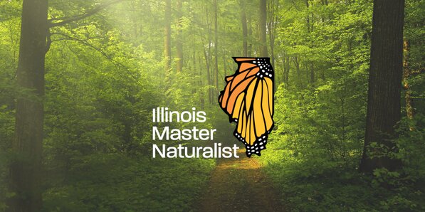 A forest and trees with master naturalist logo