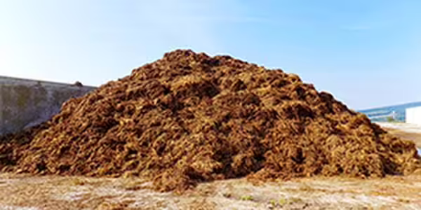 Manure pile on a farm