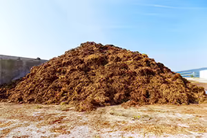 Manure pile on a farm