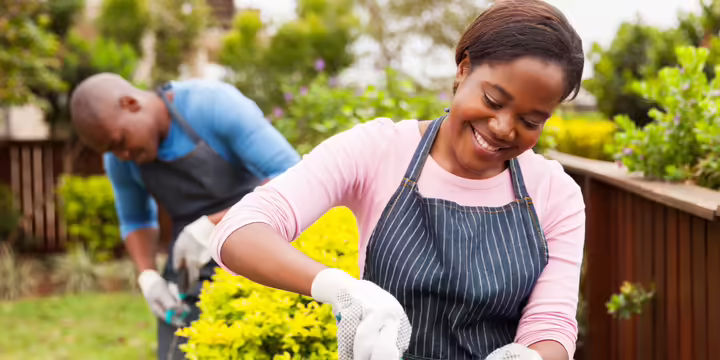 A black man and woman are gardening in raised beds.