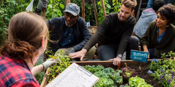 group of men and women looking at produce growing in a raised garden bed