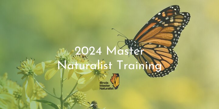 A butterfly on a pollinator plant with 2024 Master Naturalist Training across the top in white text