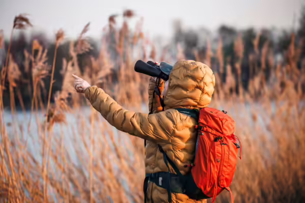 A person in prairie grass with binoculars