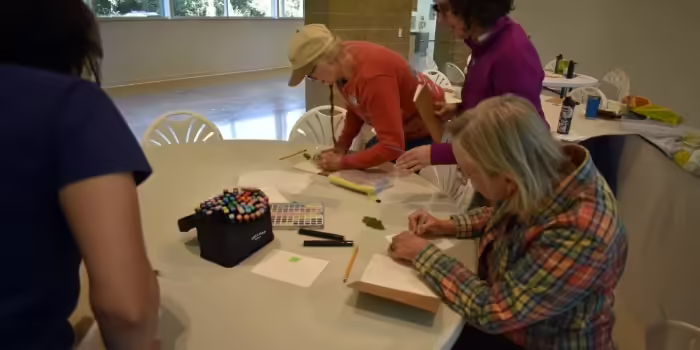 People drawing diagrams of leaves 