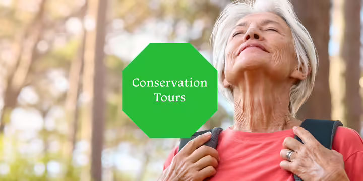 A woman looking up with her eyes closed enjoying the sun on her face as she hikes through the woods.