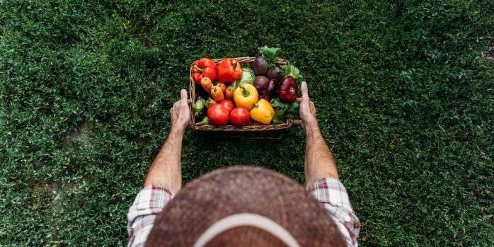 A farmer with a wide brim hat holds a basket of vegetables in front of him. The point of view is from overhead. 