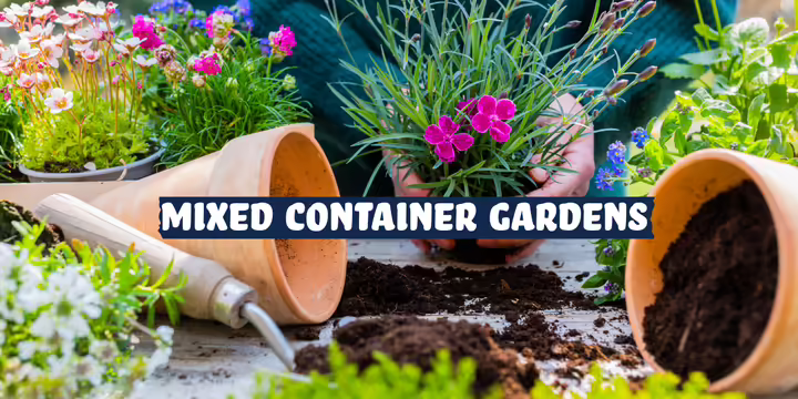 Flower pots with gardening tools and plants 