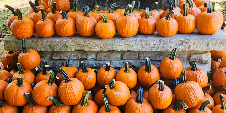 pumpkins stacked around outdoor fireplace