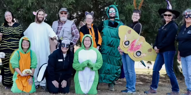 adults dressed in wildlife costumes