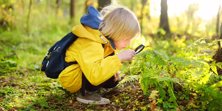 A boy looking through a magnifying glass at a fern 