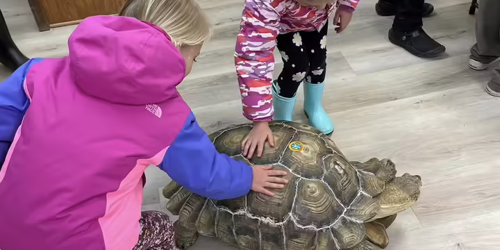 Two youth petting a tortoise