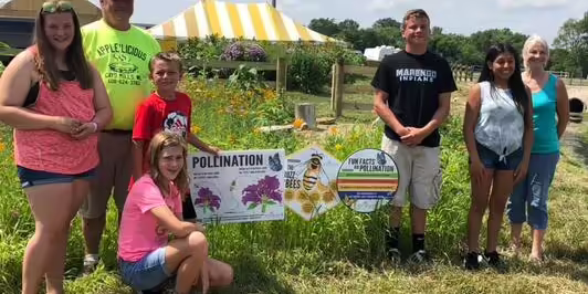 Pollinator garden with volunteers