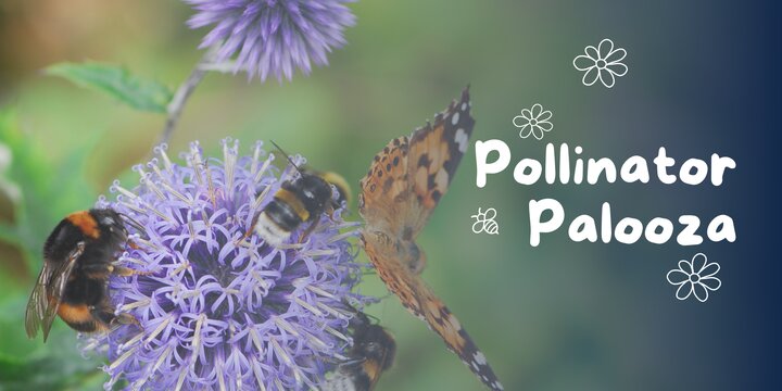 purple flower with bees and a butterfly collecting pollen