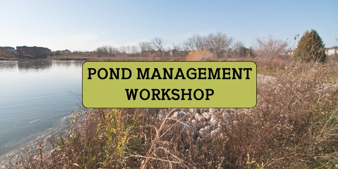 A pond scenic view with overlay text that reads pond management workshop.