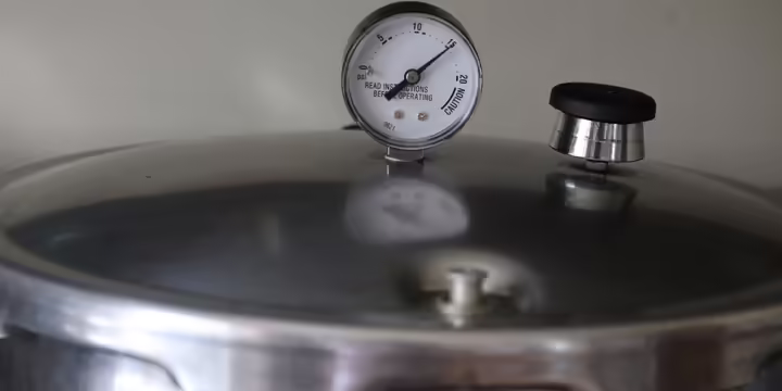 Pressure Canner Gauge
