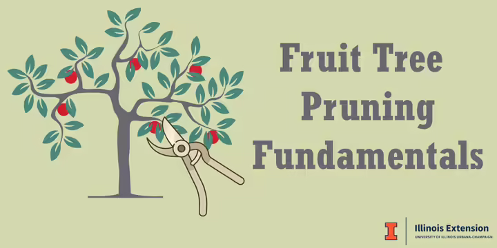 Fruit tree