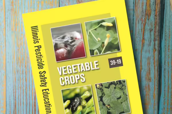 vegetable crops yellow covered book on wooden table