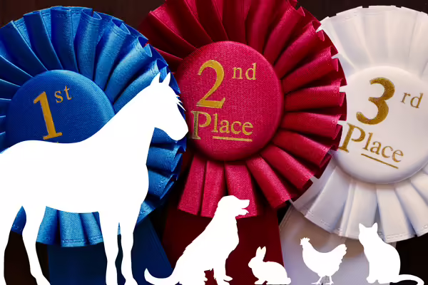 White outlines of a horse, dog, rabbit, chicken and cat in front of pictures of Awards Ribbons with 1st, 2nd and 3rd place written on them