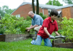 People working in a raised bed