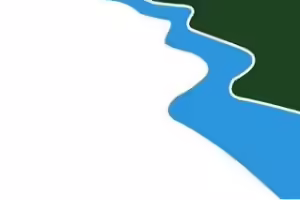 white blue and green squiggly lines