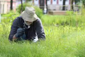 man looking at plants in a grassy area