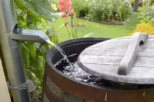 water flowing into rain barrel