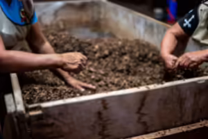 Two people patting compost bin