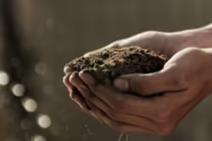 Hands holding soil