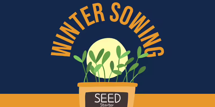 graphic with words winter sowing