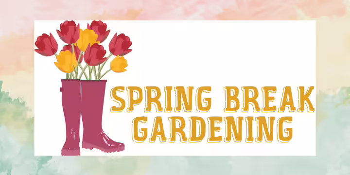 Spring Break Gardening with Boots and Flowers