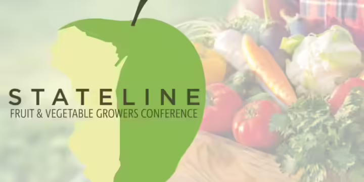 Apple with basket of fruit and vegetables