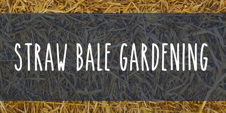 a close up of a straw bale, with the text "Straw Bale Gardening" across it in white