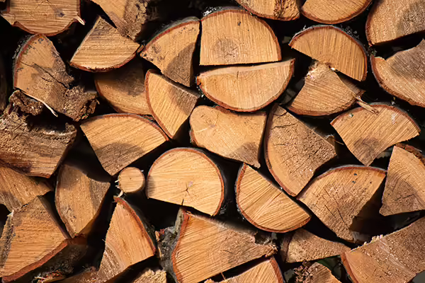 stacked firewood