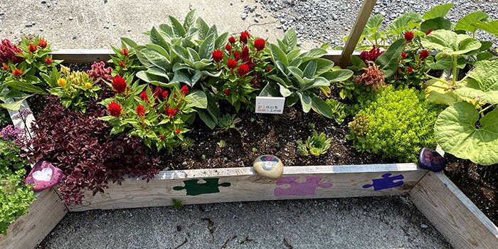 flowers and plants in a raised bed