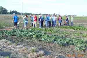 People looking at garden