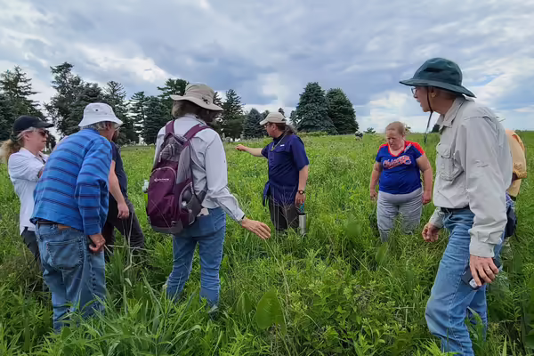 Trainees learning a lesson in the field