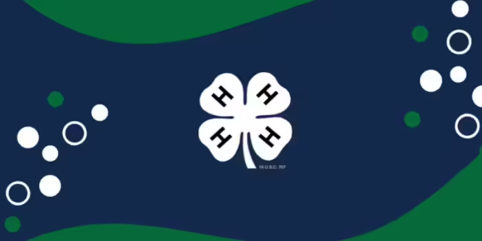 A 4-H cloverleaf with circle design elements.
