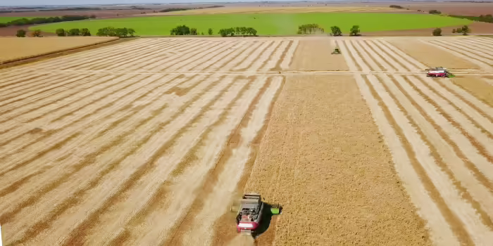 aerial view of cobine harvesting soybean field