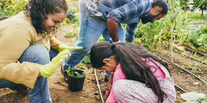 Gardening with one child and two adults 