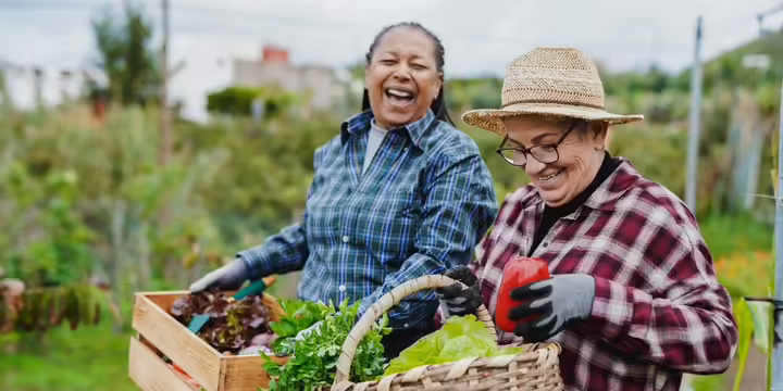 Two women gardening laughing with each other. 