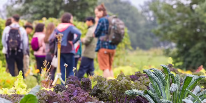 Group of people on a garden tour with back packs and vegetables being featured in the forefront. 