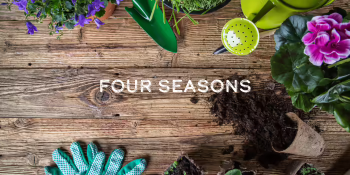 An aerial view of a gardening bench with plants, watering can, tools, and garden gloves on it. The words "Four Season" is in the middle of the image.