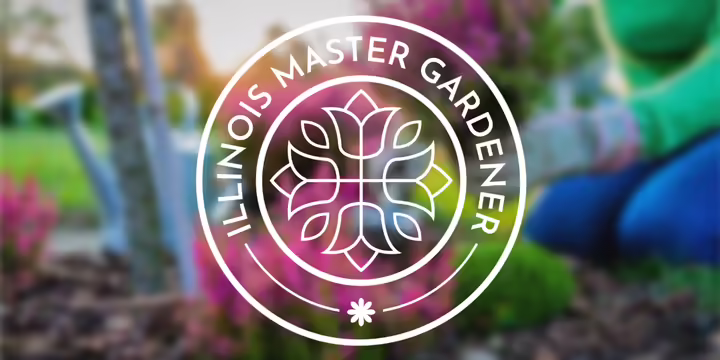 person planting a flower in the ground with the Master Gardener logo overlayed. 